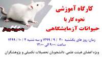 اطلاعیه برگزاری كارگاه آموزشي نحوه كار با حيوانات آزمايشگاهي به صورت وبينار